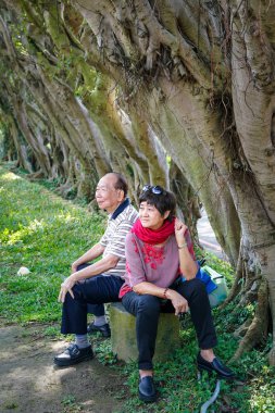 Çinli çift oturan gölgeli ağaçlar