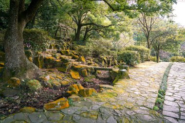 Dinlenmek için sakin park