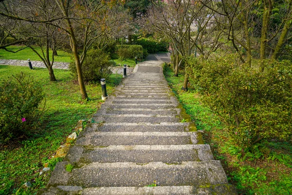 被绿色自然包围的下山之路 — 图库照片