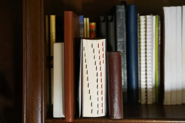 Libros Apilados Estantes Libros — Foto de Stock