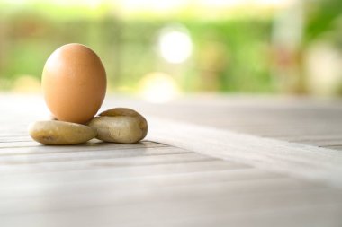 Yeşil arka plan ile yumurta. Yaşam ve sağlık kavramı