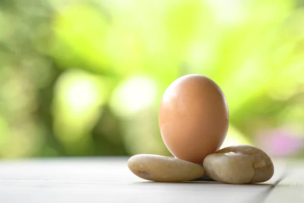 Egg with green background. Life and health concept
