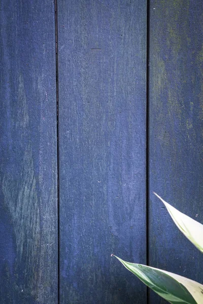 Bakgrunden koncept: pastell mörkblå färg trä plankor — Stockfoto