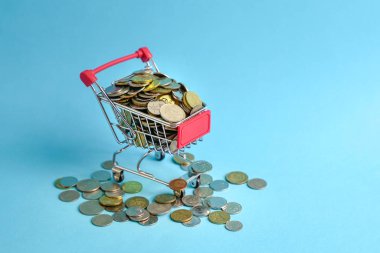 Bir mini alışveriş sepeti metal sikkeler