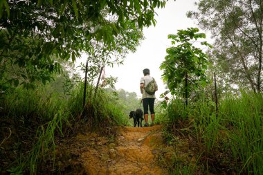 Bir tepenin üstündeki adam ve köpek ayakta