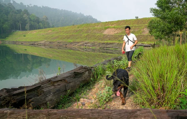 Dog and man hiking in the forest with lake