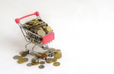 Bir mini alışveriş sepeti metal sikkeler