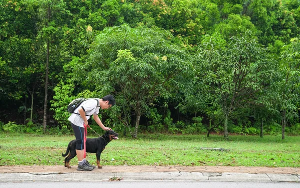 Man walking dog — Stock Photo, Image