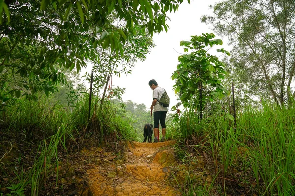 Bir tepenin üstündeki adam ve köpek ayakta