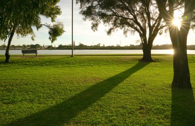 Sabah ışığı ve güneş ışınları ile yeşil park. Doğa arka planı.