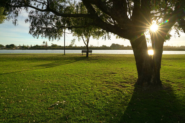 Green park with morning light and sun rays. Nature background.