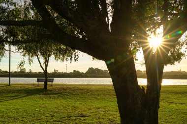 Sabah ışığı ve güneş ışınları ile yeşil park. Doğa arka planı.