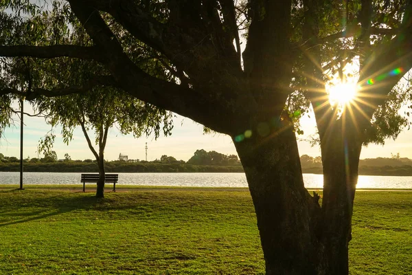 Sabah ışığı ve güneş ışınları ile yeşil park. Doğa arka planı.