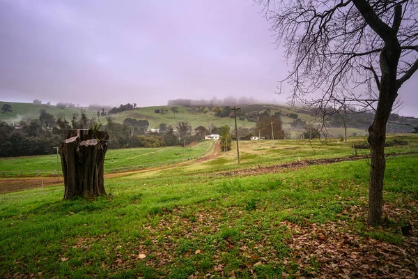 Paisaje de una finca rural con una casa de campo en el fondo — Foto de Stock