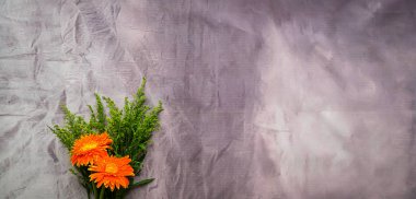 Turuncu Gerbera papatya çiçekler