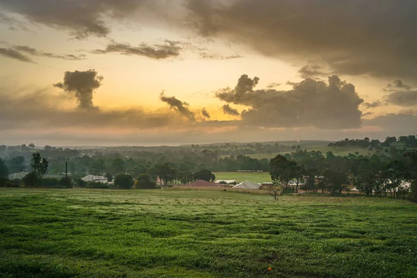 Krásná zelená louka zemědělské půdy během východu slunce — Stock fotografie