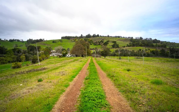 Camino de tierra recta con césped en el medio. Terreno agrícola — Foto de Stock