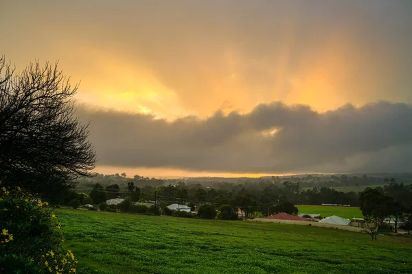Krásná zelená louka zemědělské půdy během východu slunce se slunečním paprskem — Stock fotografie
