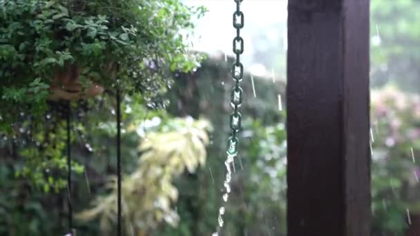 Llueve Hace Viento Vistas Jardín Con Maceta Plantas Cadena Metálica — Vídeos de Stock