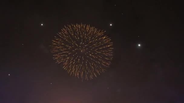 Echte Vuurwerk Achtergrond Een Gloeiende Vuurwerkshow Oudejaarsavond Vuurwerkviering — Stockvideo