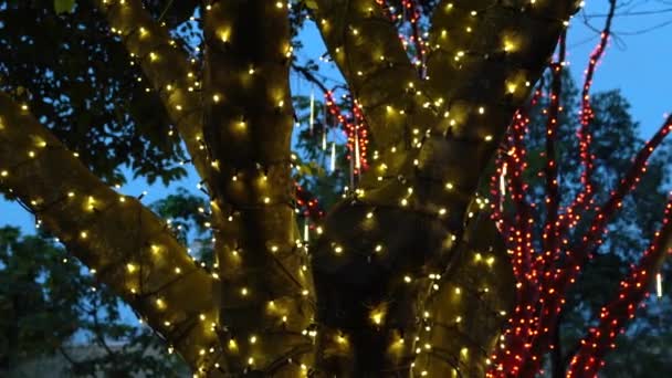 人工照明が木に設置されている 夕方の空 青い時間 お祝いやお祝いの気分 — ストック動画