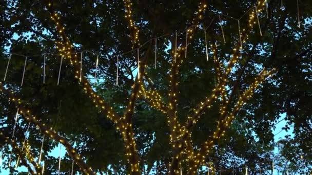 Konstgjorda Ljus Träd Kväll Himmel Blå Timme Firande Eller Festligt — Stockvideo