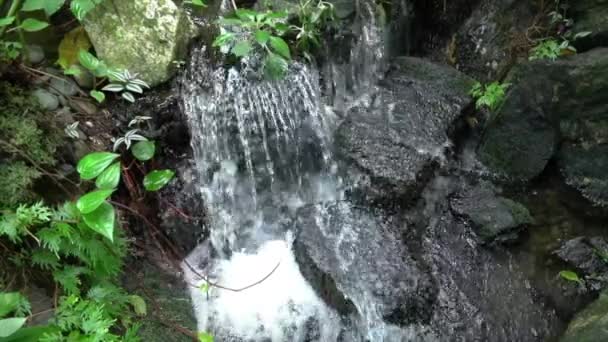 Mini Cascata Giardino Roccioso Bellissimo Paesaggio Naturale — Video Stock