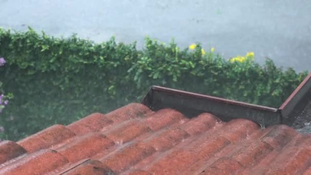 Piove Acqua Piovana Cade Sul Tetto Della Casa Brutto Tempo — Video Stock