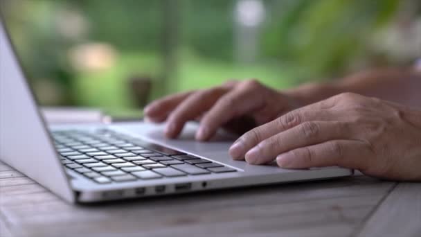 Vue Rapprochée Femme Affaires Tapant Sur Clavier Vue Sur Jardin — Video