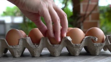 Kadın elleri karton kutuya çiftlik yumurtası koyuyor..