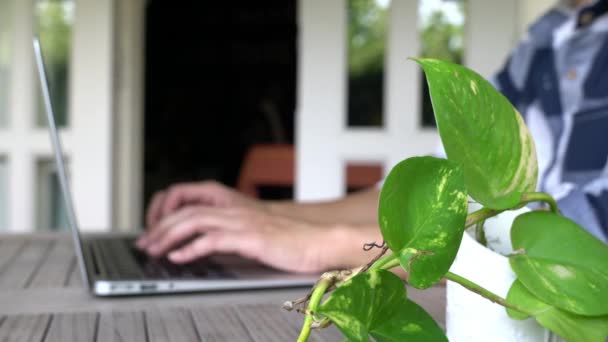 Mujer Escribiendo Ordenador Portátil Fondo Con Enfoque Planta Verde Trabajo — Vídeos de Stock