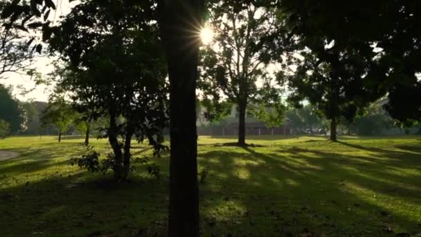 Park Met Bomen Lange Schaduwen Met Zonnestralen Flares Van Ochtendzon — Stockvideo