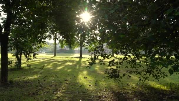 Parc avec des arbres et de longues ombres avec des rayons de soleil et des fusées éclairantes du soleil du matin. 