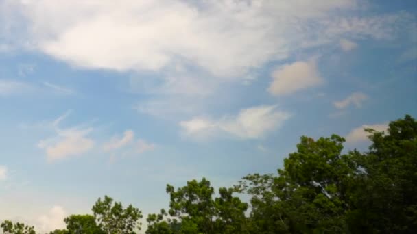 Felhők Időrendje Kék Égen Mozog Előtérben Fákkal Puffadt Bolyhos Fehér — Stock videók