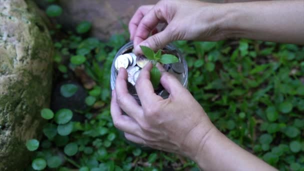 女人把硬币放在装有硬币和绿色植物的容器上 资金储蓄和投资概念 — 图库视频影像