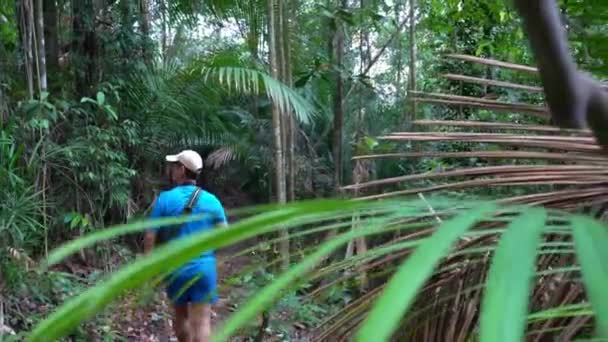 Man Vandrare Djungel Vandring Tropisk Skog Vacker Utomhusaktivitet Möte Med — Stockvideo