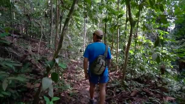 Man Vandrare Djungel Vandring Tropisk Skog Vacker Utomhusaktivitet Möte Med — Stockvideo