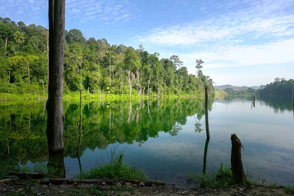 Beau Paysage Lacustre Avec Forêt Son Reflet Arrière Plan — Photo