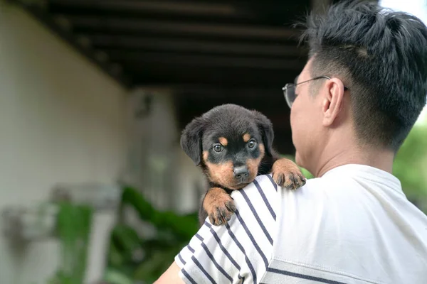 Leuke Puppy Hond Rust Zijn Hoofd Schouder Van Volwassen Man — Stockfoto