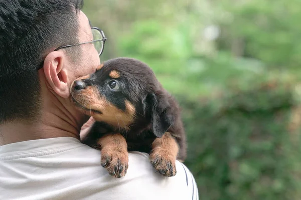 Leuke Puppy Die Zich Vastklampt Aan Schouder Van Een Volwassen — Stockfoto