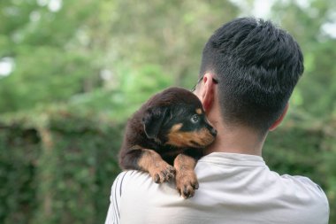 Tatlı köpek yavrusu başını yetişkin bir adamın omzuna yaslıyor. Boşluğu kopyala.