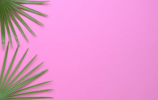 Tropical palm leaves side frame on pink background. Copy space. Top view.