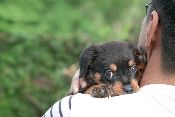 Nahaufnahme Eines Erwachsenen Mannes Der Hundewelpen Auf Der Schulter Trägt — Stockfoto