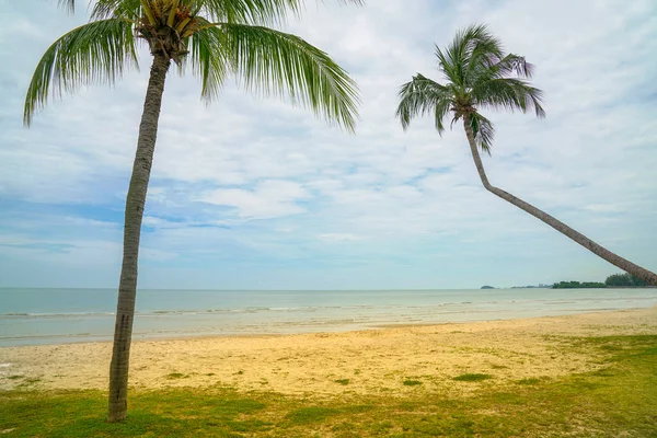 Spiaggia Tropicale Sabbia Con Alberi Cocco Concetto Viaggio — Foto Stock