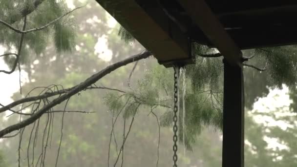 Дождь Дождевая Вода Падает Беседку Дренажную Трубу Казуариной Заднем Плане — стоковое видео