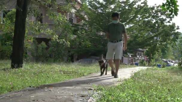 Mann Mit Mundschutz Geht Mit Hund Park Spazieren Bewegung Freien — Stockvideo