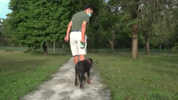 Mannen Som Bär Ansiktsmask Och Rastar Hunden Parken Utomhusmotion Med — Stockvideo