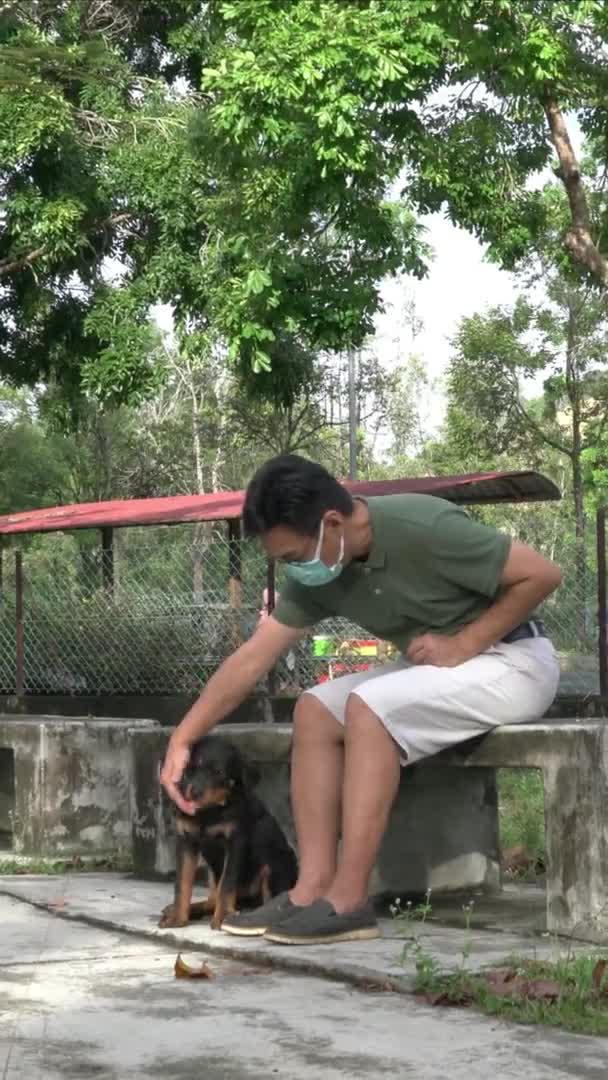 Vídeo Vertical Cachorro Rottweiler Mordiendo Una Cáscara Coco Concepto Dentición — Vídeo de stock