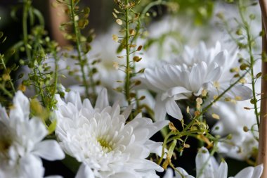Sepetteki altın papatya buketinin yakın çekim fotoğrafı. Bahar ruh hali, makro lens