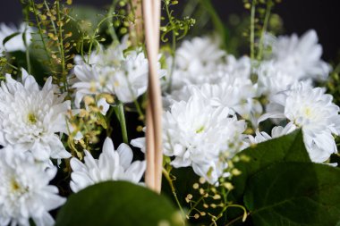 Sepetteki altın papatya buketinin yakın çekim fotoğrafı. Bahar ruh hali, makro lens